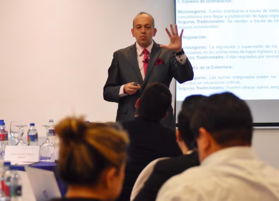 seguros vehiculares