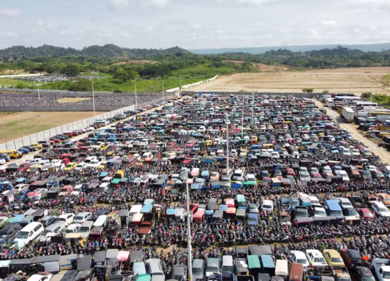 autos rematados