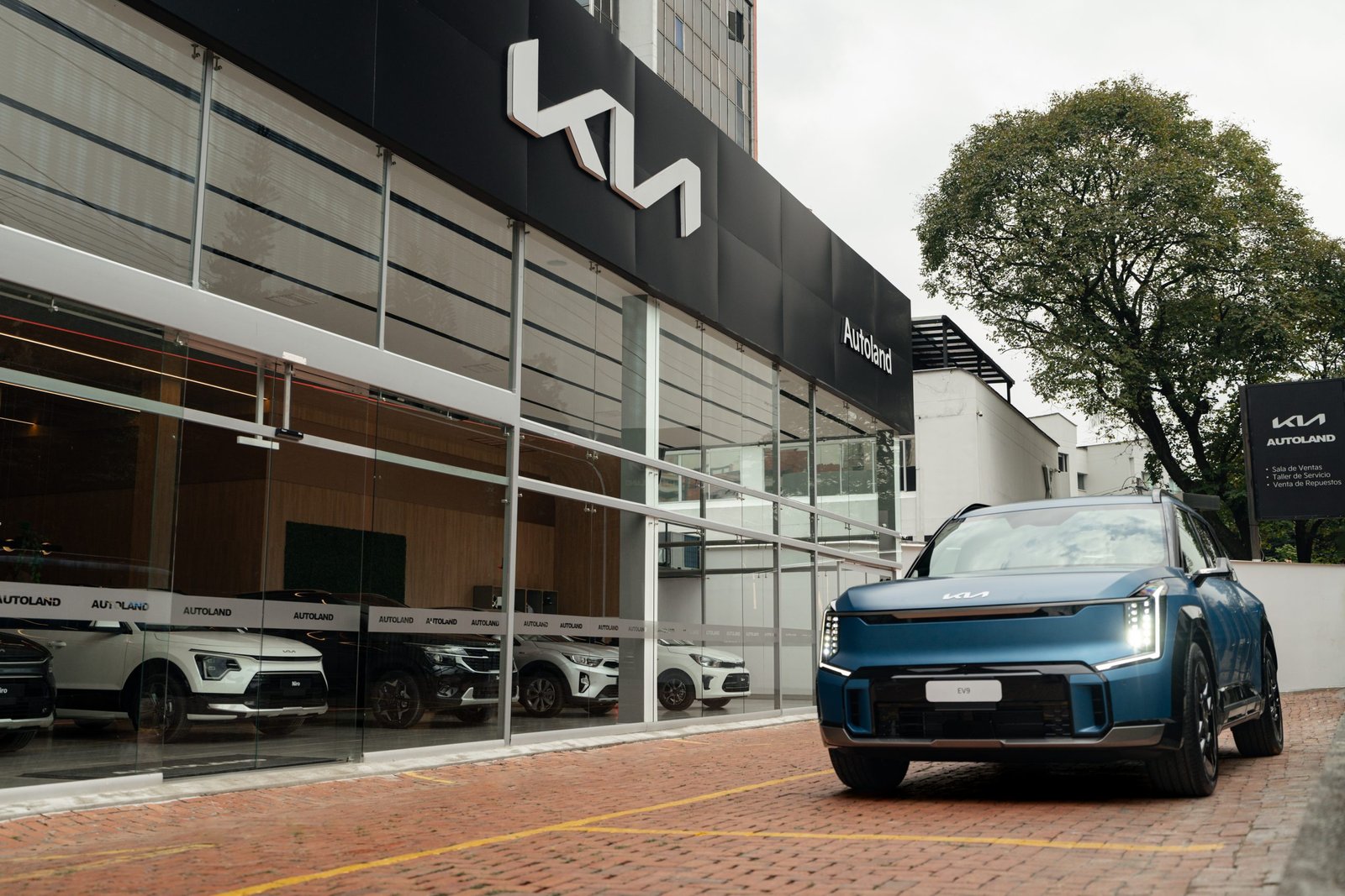 Gráfico con datos de ventas de vehículos en Colombia a julio de 2025, destacando a Kia como la marca líder