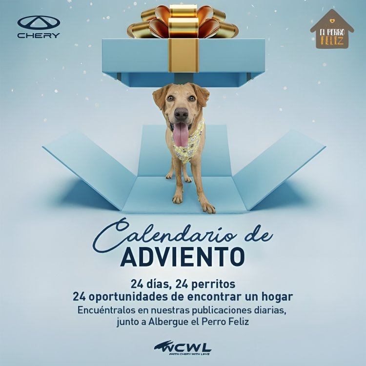 Perros rescatados en albergue El Perro Feliz esperando adopción responsable en Ecuador durante campaña navideña de Chery