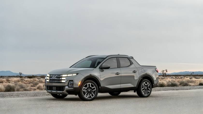 premios Elección del Editor 2026