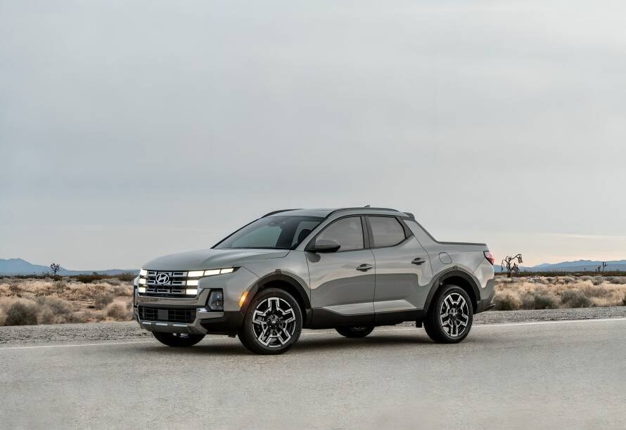 premios Elección del Editor 2026