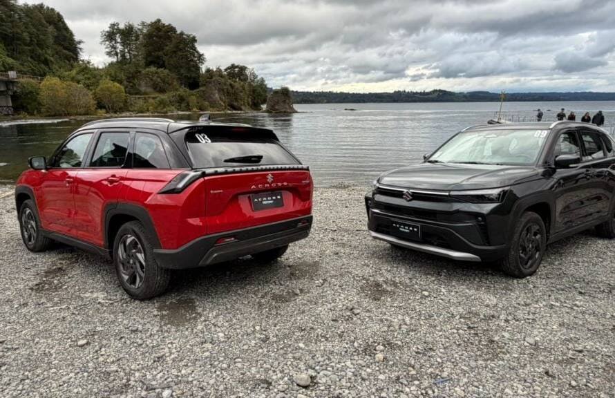 Gráfico comparativo de ventas que muestra a Suzuki como segundo mayor productor japonés de automóviles, detrás de Toyota y por encima de Honda