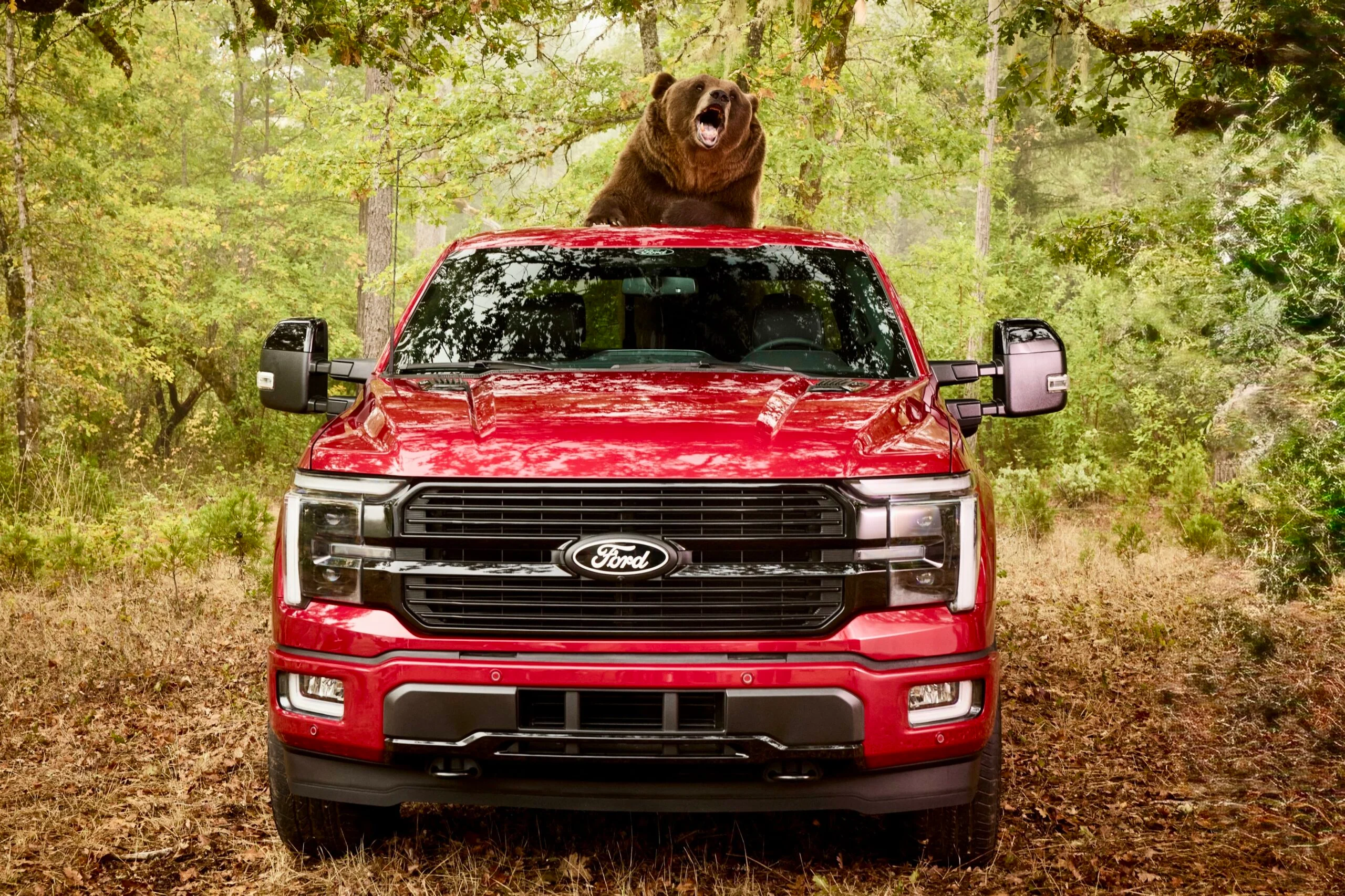 Ford pone a prueba su F-150 y su sistema de seguridad frente a un oso de 400 kilos