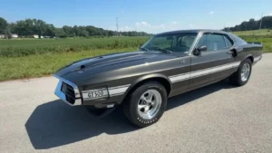Shelby Mustang GT500 controversial